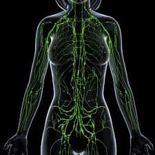LYMPHATIC HEALTH WEBINAR