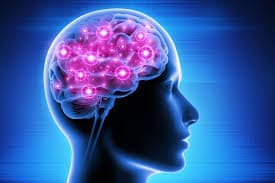 PERIMENOPAUSAL BRAIN HEALTH